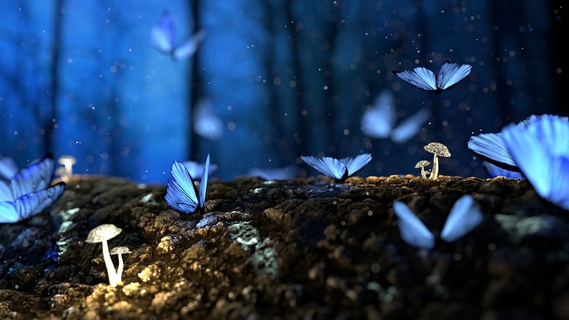 Forbidden Forest