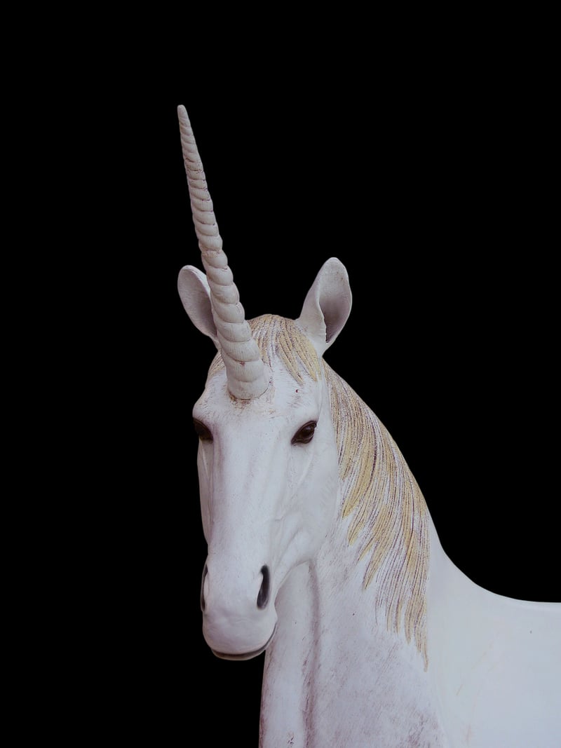 Magical Creatures